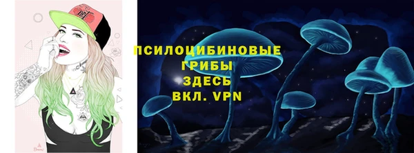 прущая мука Вяземский