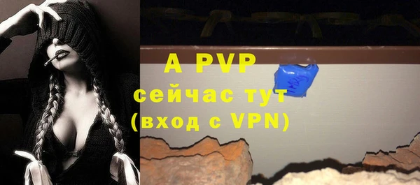 прущая мука Вяземский