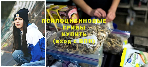 прущая мука Вяземский