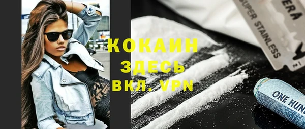 прущая мука Вяземский