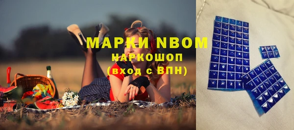 прущая мука Вяземский