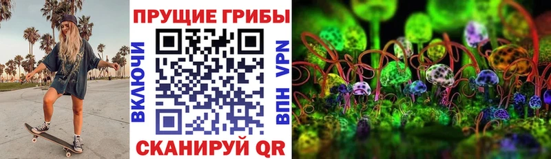 mega tor продажа наркотиков Приволжский Псилоцибиновые грибы прущие грибы