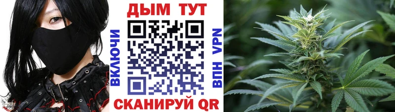 цена наркотик  Приволжский  Марихуана сатива 
